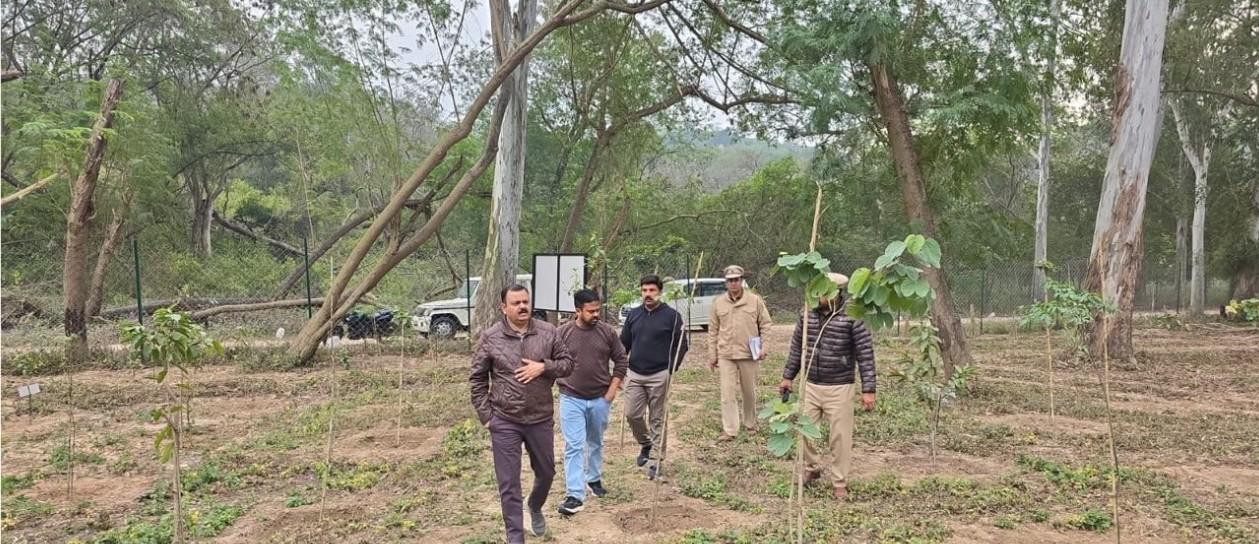 Chandigarh's Sukhna wildlife sanctuary home to leopards, jackals