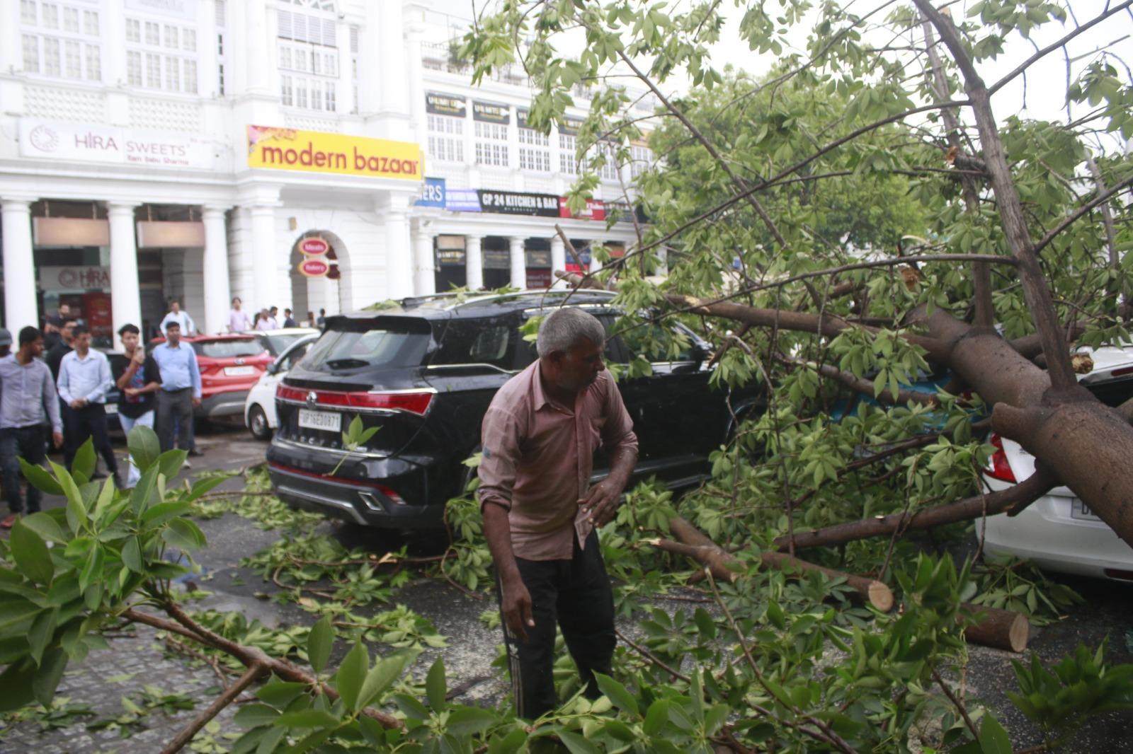 Dust storms, rain lash Delhi-NCR for third day; trees uprooted, infrastructure damaged