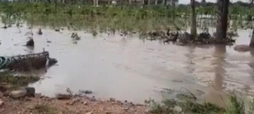 Rajasthan: NGT orders removal of encroachments from water bodies in Bhilwara