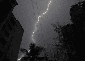 Over 40 sheep, goats killed in lightning strike in J&K’s Ganderbal