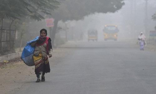 Cold Wave Grips Madhya Pradesh