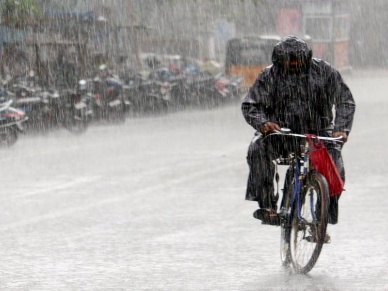 Madhya Pradesh under high-impact monsoon alert as weather dept issues warning for heavy rainfall