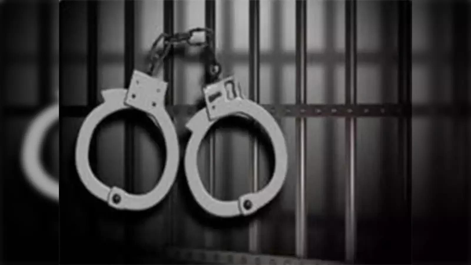 UP Police Arrest 50 in Sambhal Jama Masjid Violence