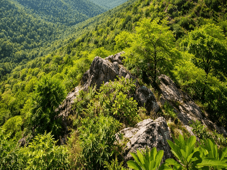 'Further clarification needed': SC puts revised Aravalli Hills definition in abeyance, mulls fresh expert committee