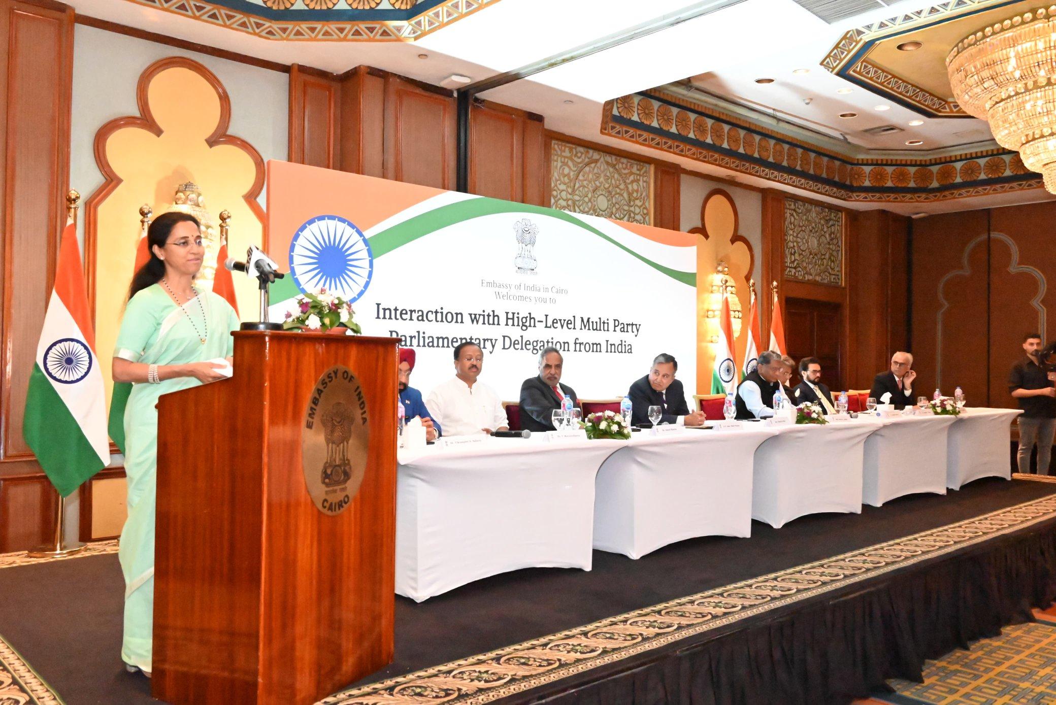 Indian delegation interacts with leading Egyptian intellectuals and opinion makers