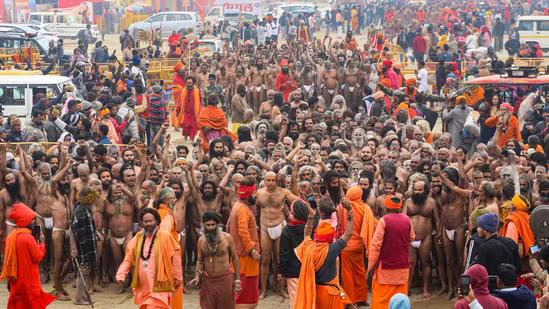 Devotees Praise Spirituality and Organization in Prayagraj