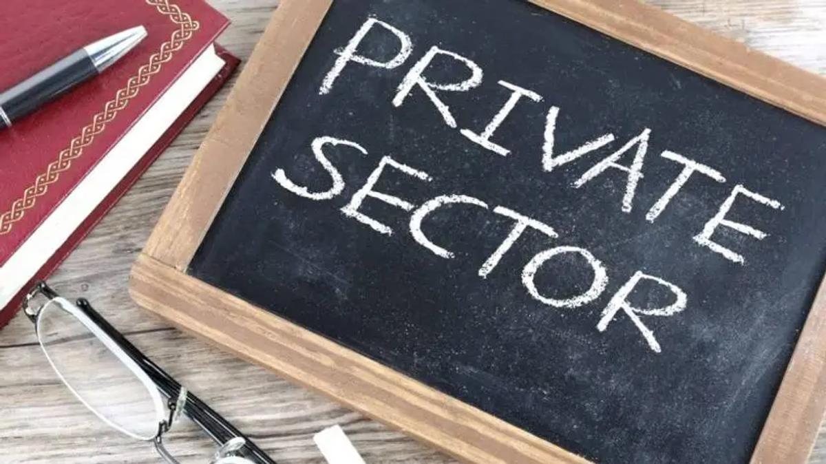 India's Private Sector