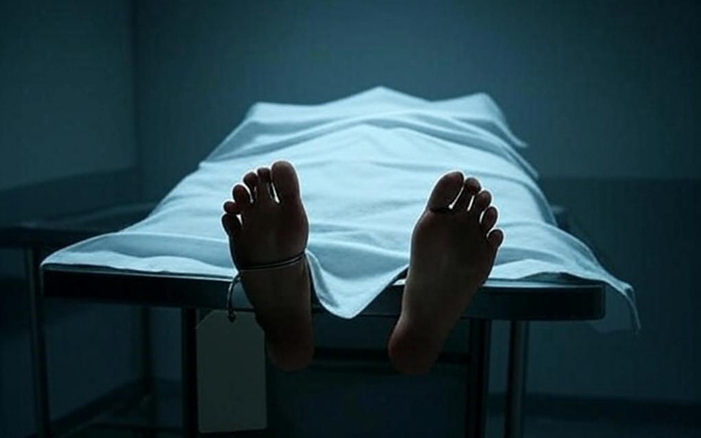 Man jumps off elevated track of Kochi Metro, dies