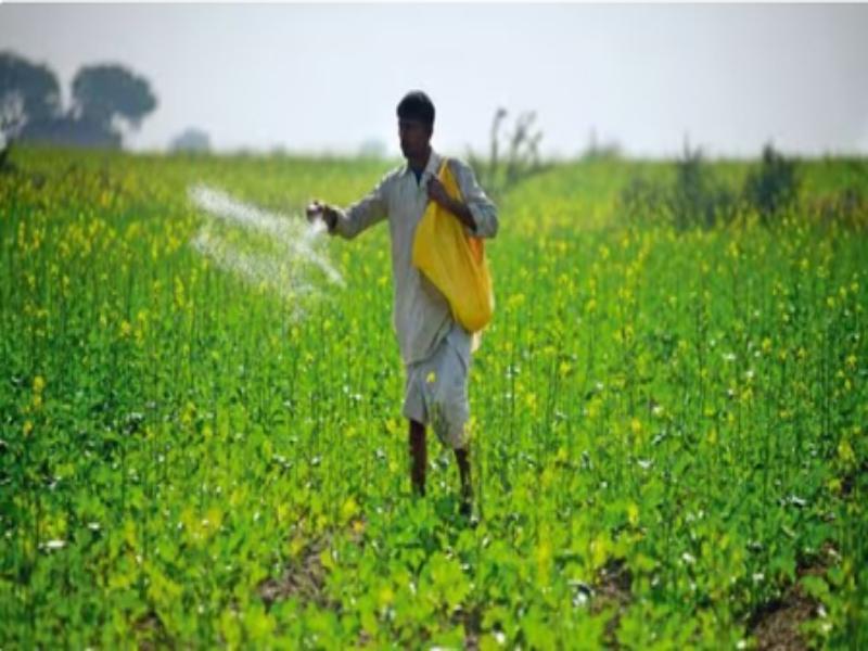 Total area sown under kharif crops crosses 137.8 lakh hectares