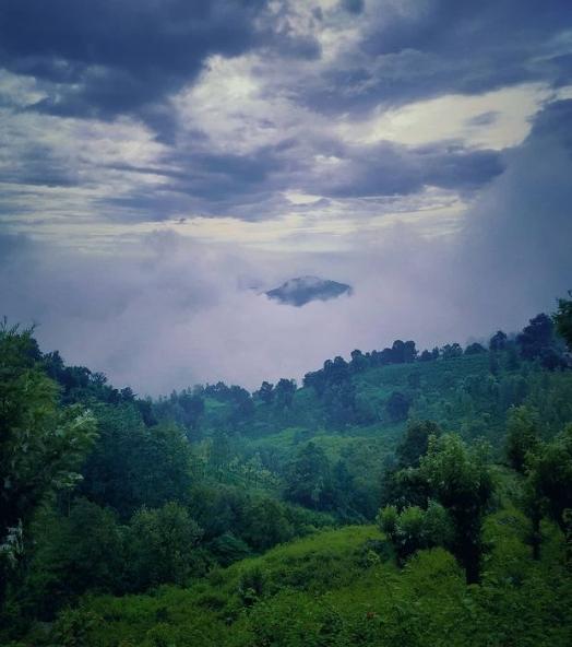 Red alert in Nilgiris, Coimbatore Ghat areas as heavy rains trigger landslides