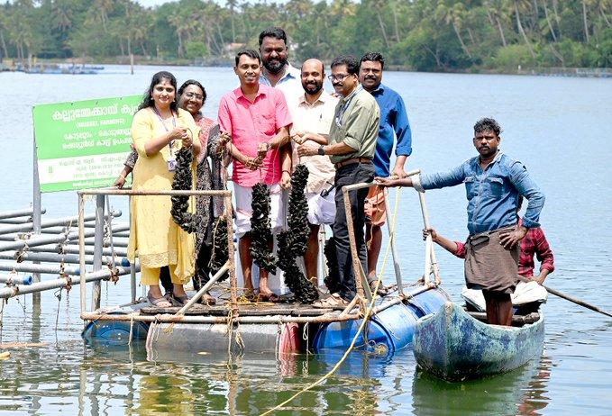 CMFRI's mussel farming project logs success, extension mulled