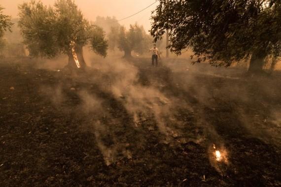 Greece requests EU assistance as wildfires rage across country