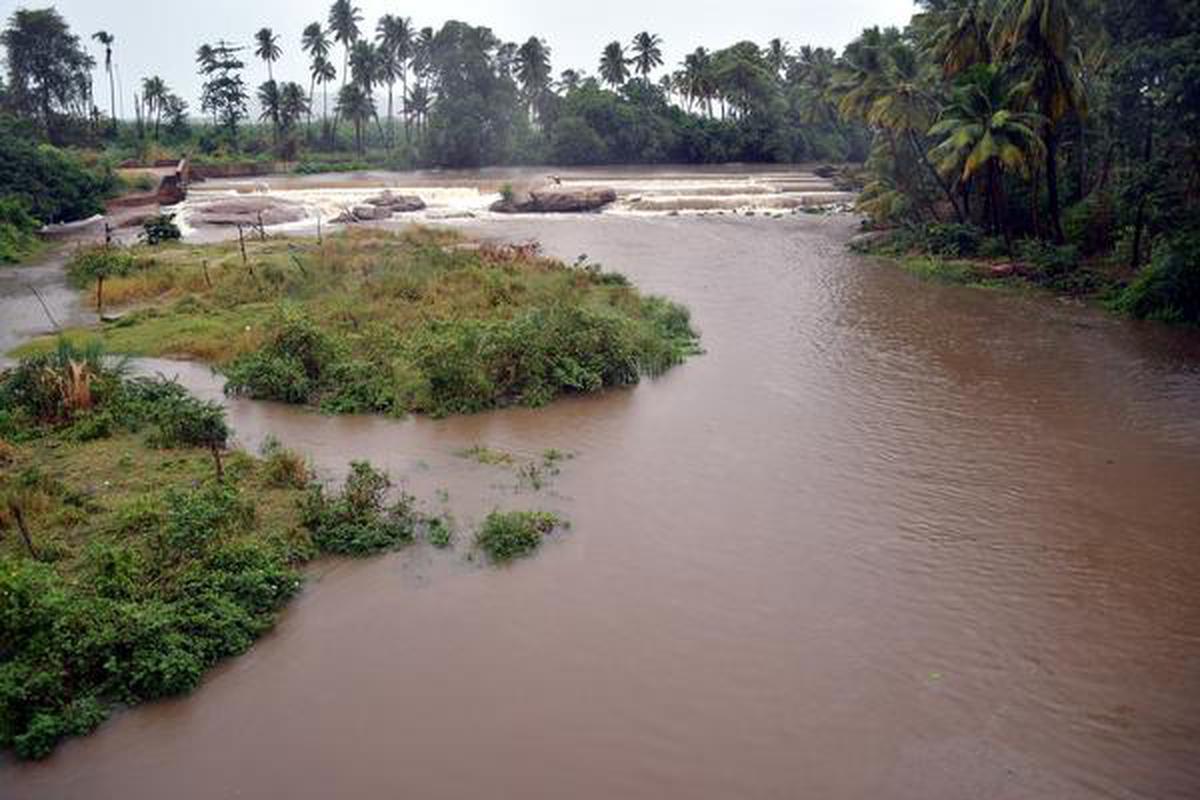 TN's Mullaperiyar River overflows, several villages in Theni inundated, harvest destroyed