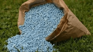 Govt sets ball rolling for green ammonia-based fertilisers to reduce carbon footprint
