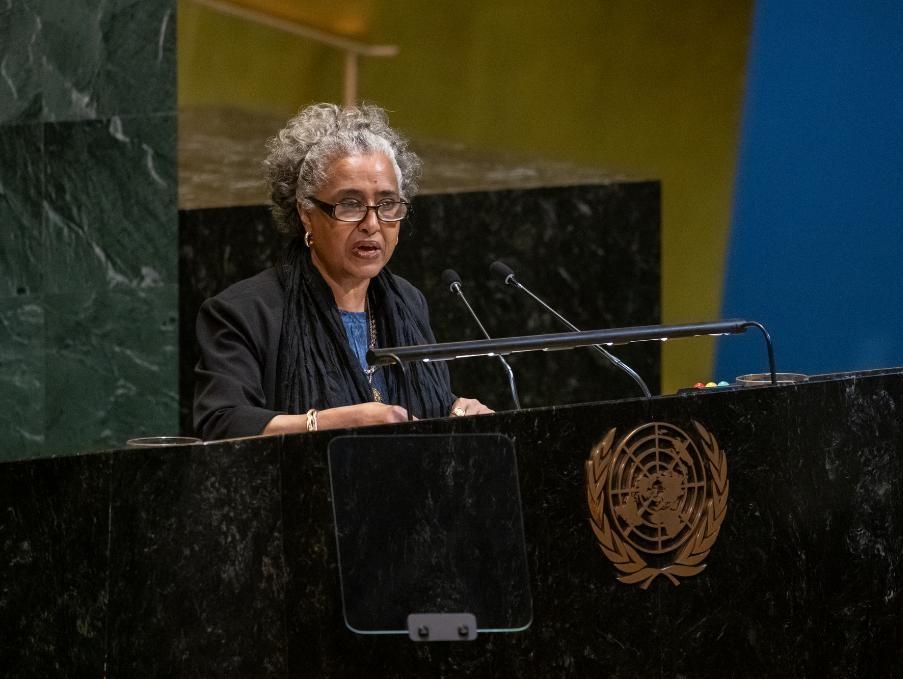 UN General Assembly declares Dec 4 as international day against unilateral coercive measures