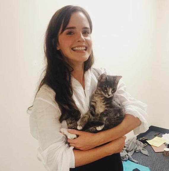 Emma Watson speaks up on trans right, JK Rowling