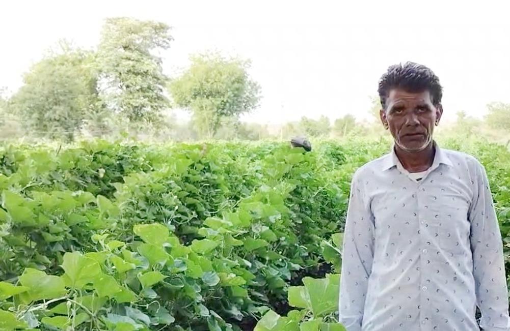 MP: Farmers in Jhabua reap benefits of PM-KISAN scheme