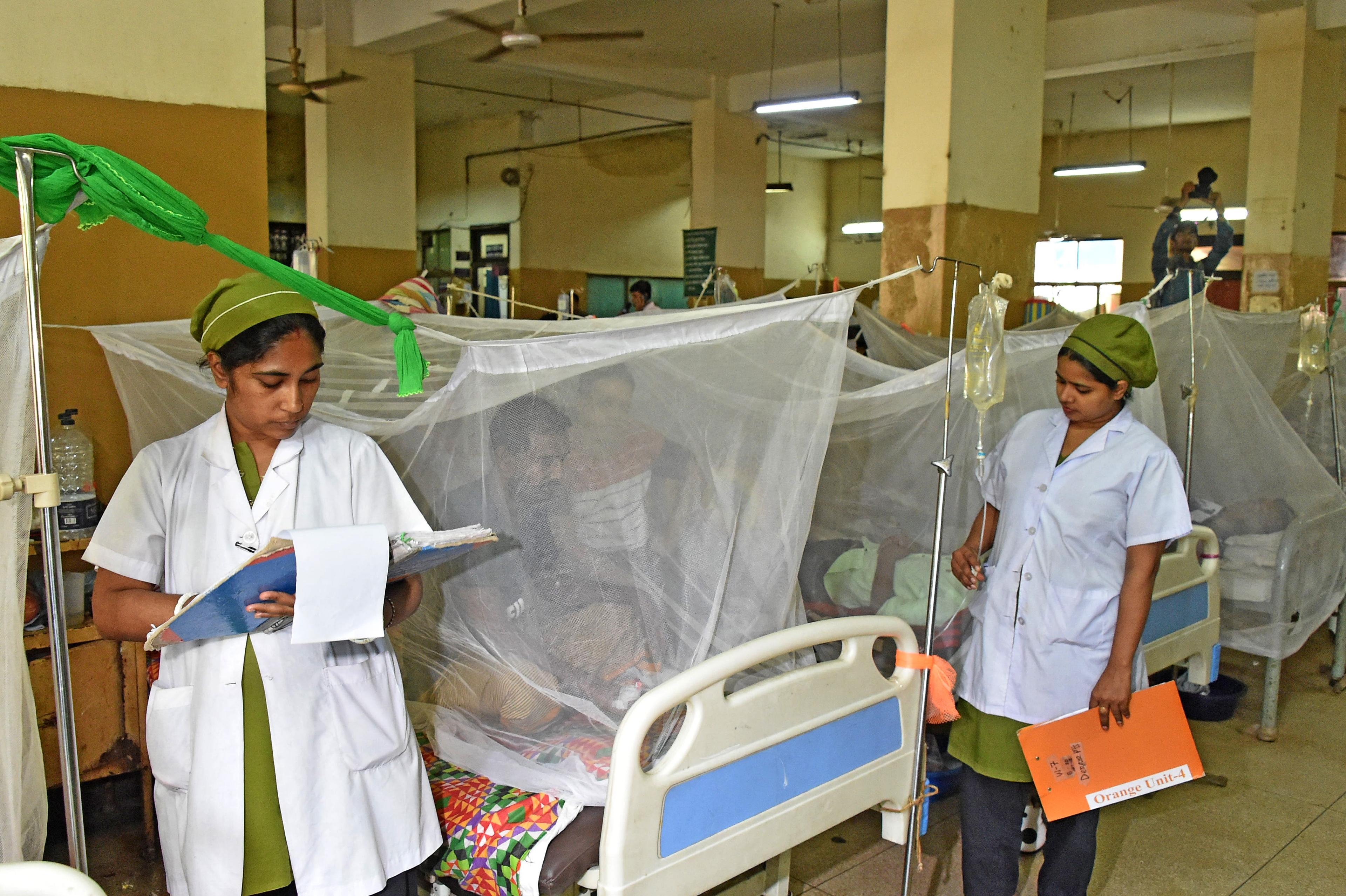 Dengue claims two more lives in Bangladesh, 2025 death toll rises to 217