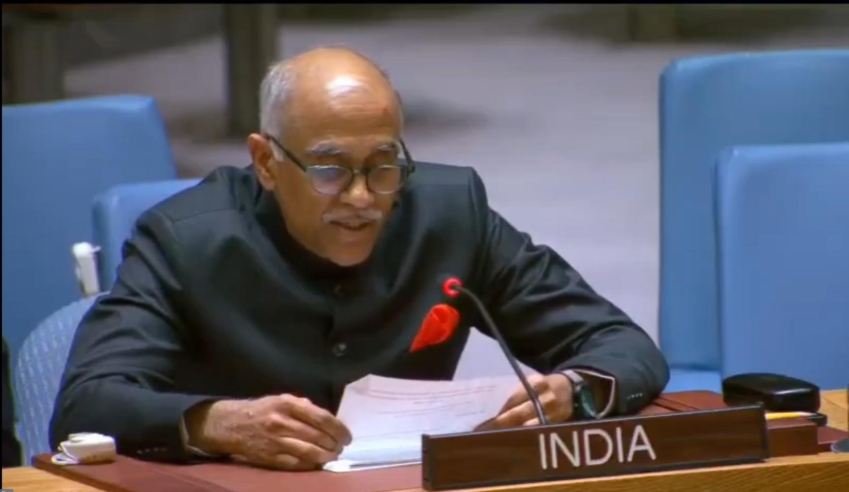 India concerned over emergence of 'parallel' platforms to UN (Lead)