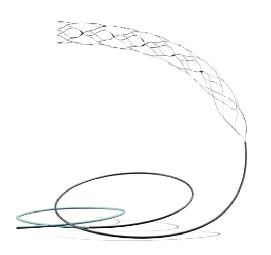 AIIMS-led trial on most advanced brain stent shows promise for stroke patients