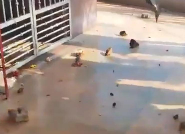 Stone-pelting, clashes in Bihar's Hajipur during Muharram procession