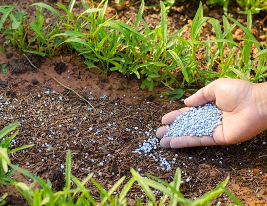 Fertiliser stocks adequate to meet needs of farmers: Govt