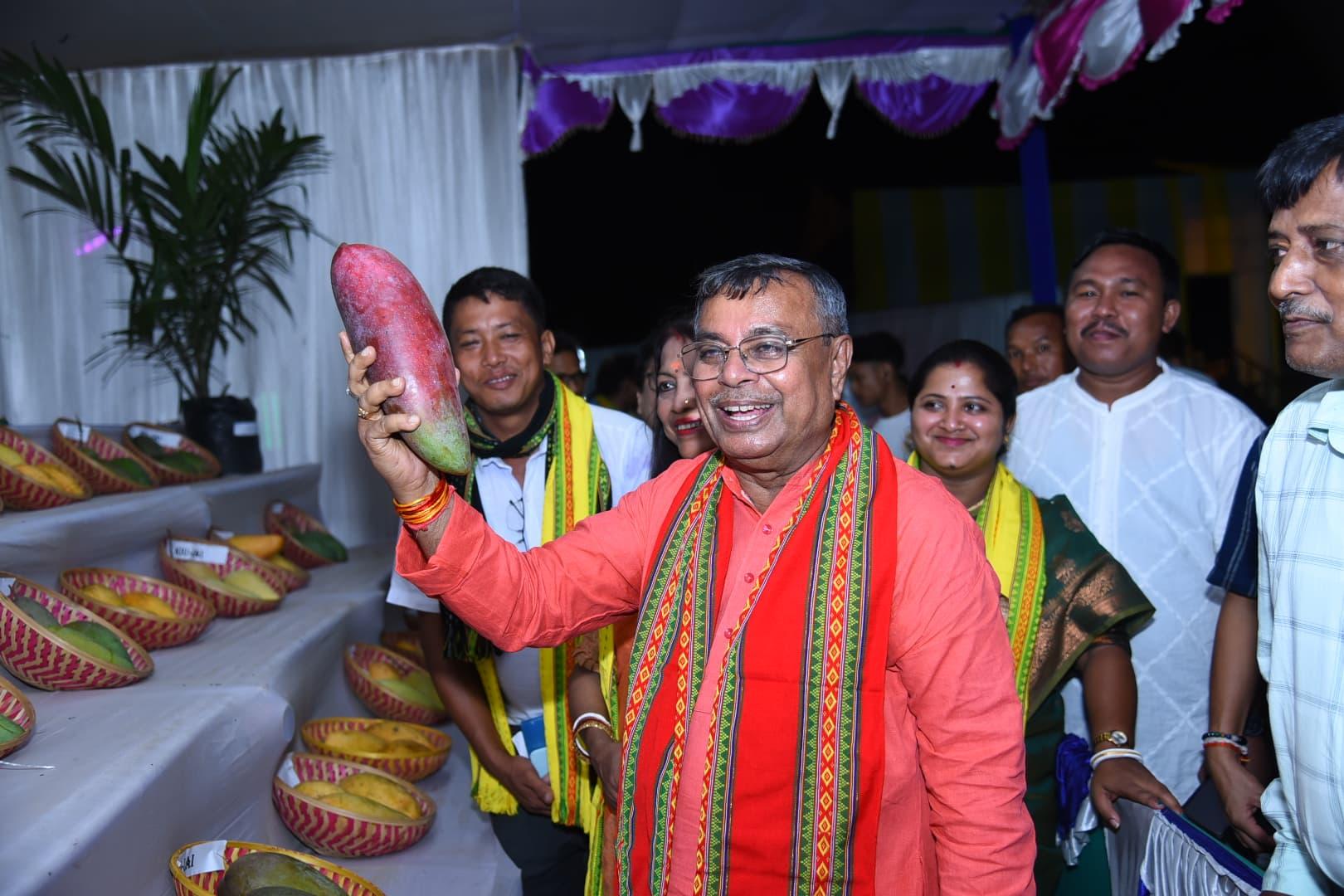 Mango varieties being experimentally cultivated in Tripura to boost farmers’ income: Minister
