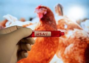 Cambodia records fourth death of H5N1 bird flu in 2025