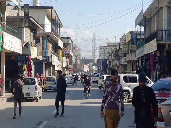 Youth Unemployment Amid Government Neglect