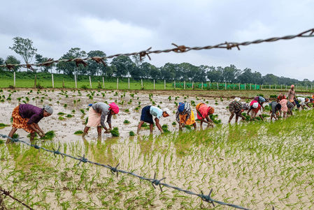 Farmer suicides reduced by 50 pc during NDA rule compared to UPA era: RTI