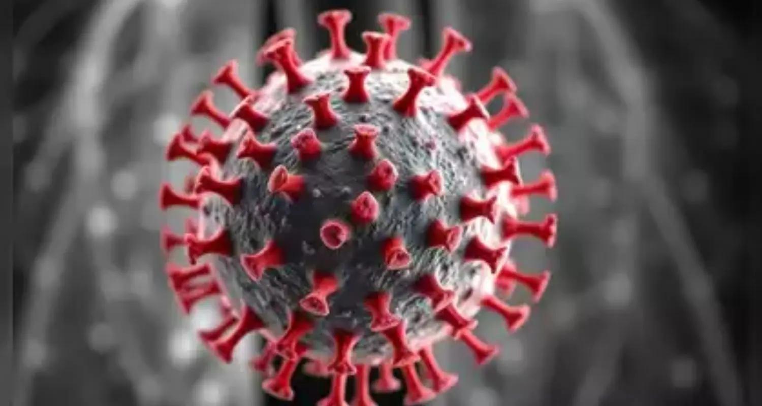 HMPV virus