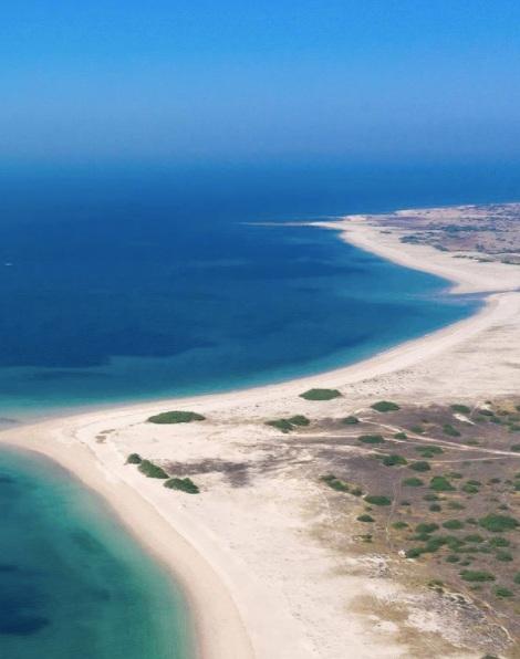 Gujarat: Blue Flag Shivrajpur beach emerges as global icon of coastal tourism