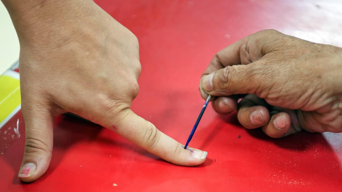 Punjab Municipal Corporation Elections 2024