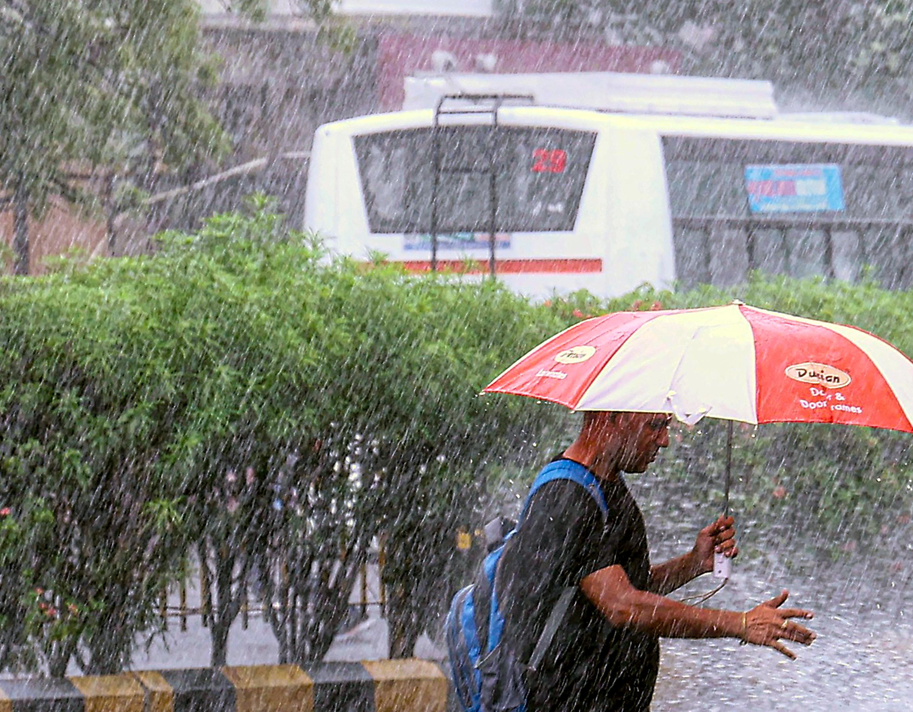 MP, Chhattisgarh reel under heavy rain; red alerts issued for some parts