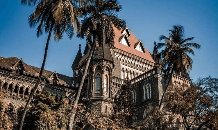'No open gate’: Bombay HC hints only trial witnesses can challenge Malegaon blast acquittal