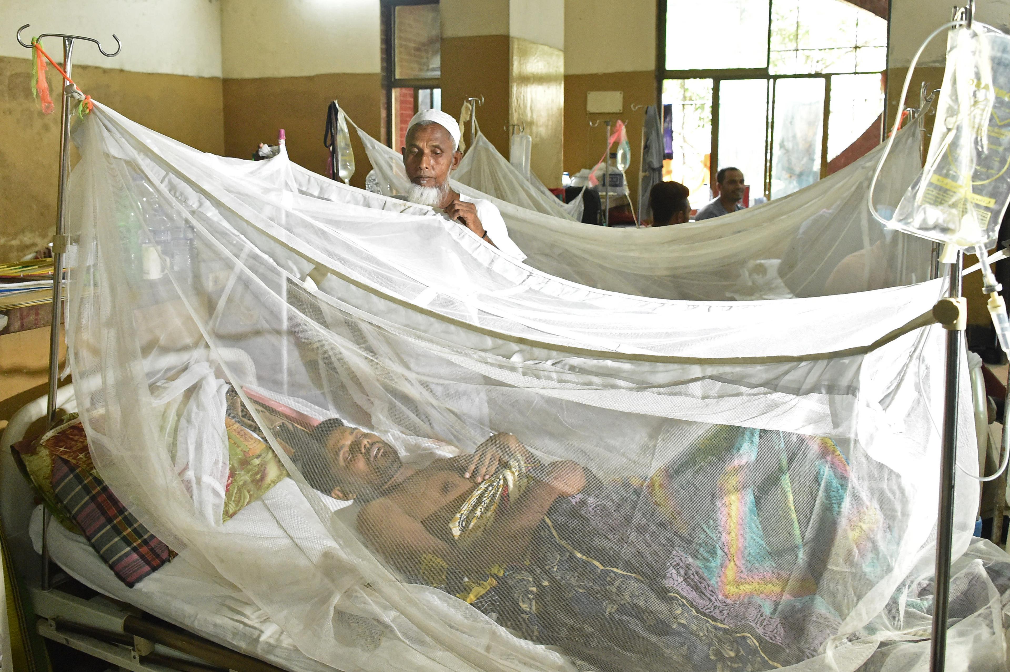 Bangladesh: Five more people die of dengue, 2025 death toll crosses 280