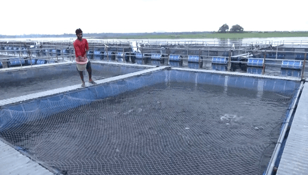 Jharkhand: PM Matsya Sampada Yojana transforms lives of farmers, makes them 'self-reliant'