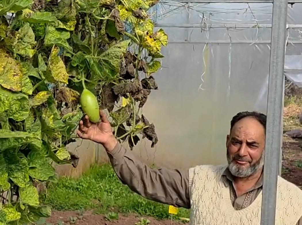J&K: Ramban farmer sets example in modern farming, inspires fellow villagers