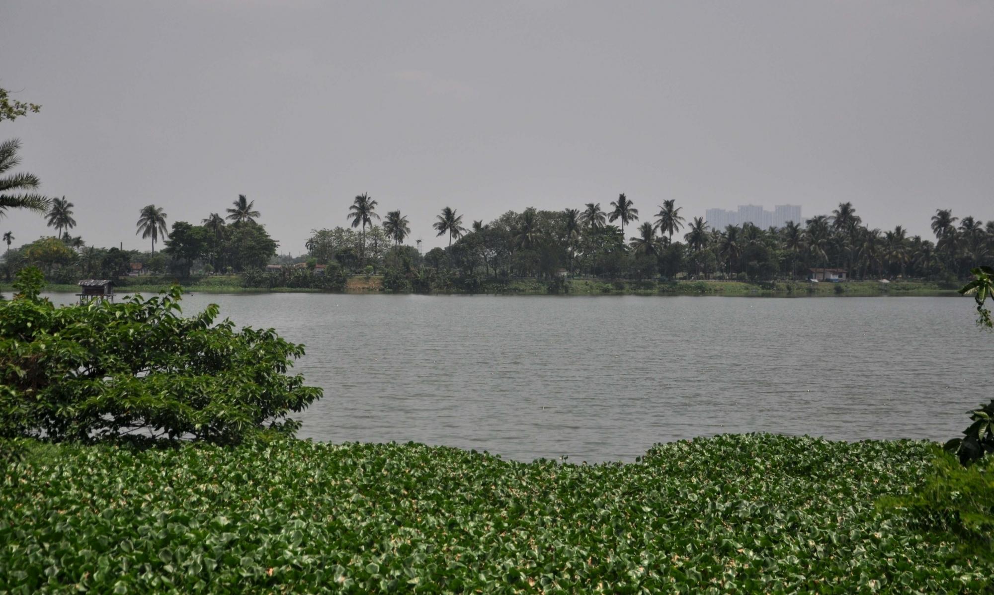 No electricity or water connection to new illegal constructions on Kolkata's wetlands: Calcutta HC