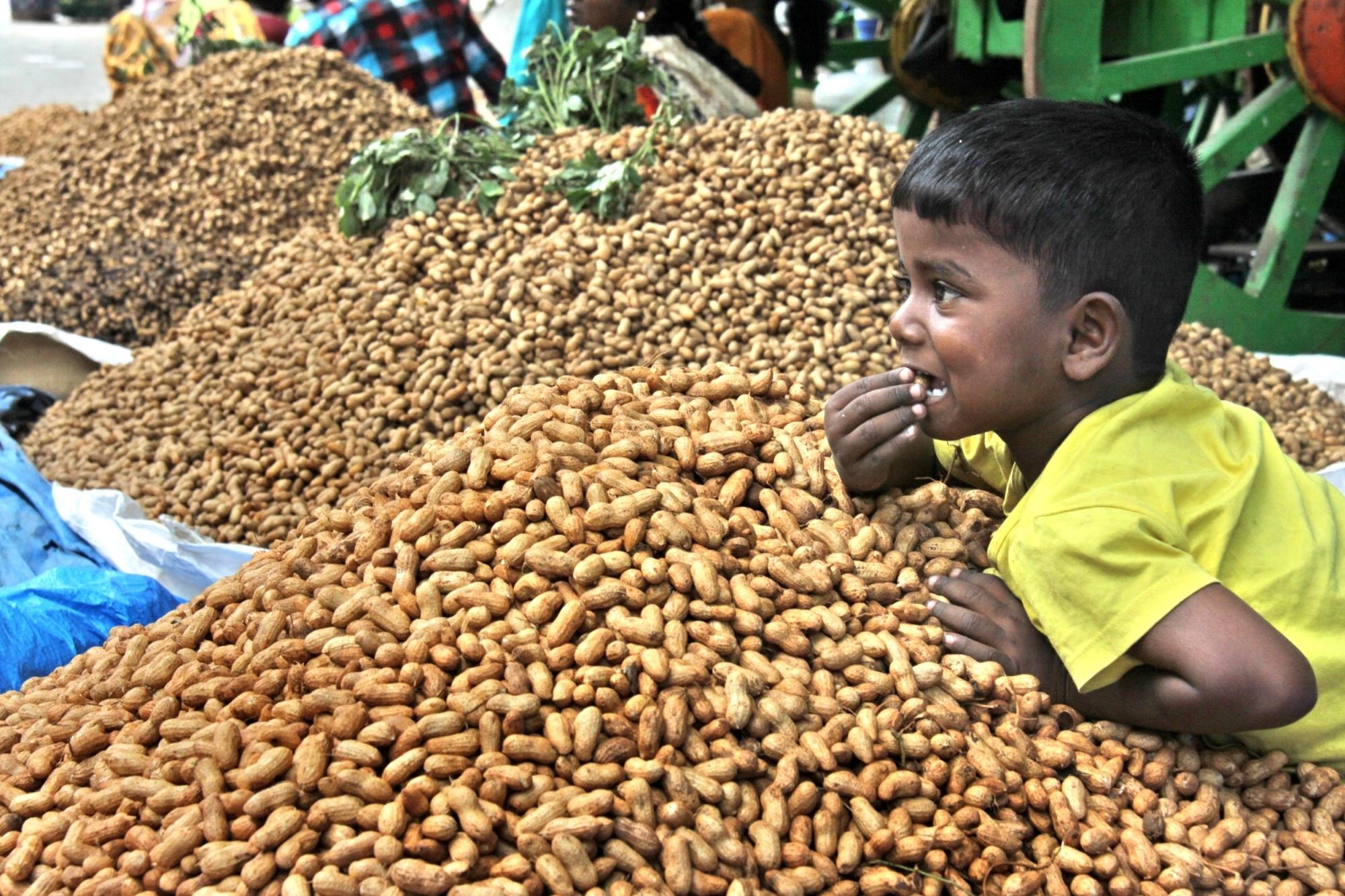 Farmers in Gujarat can register for MSP sale of groundnut, moong, urad, soybean from Sept 1–15