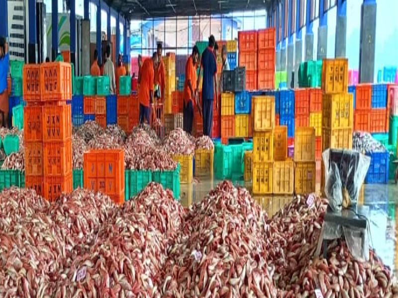 Women form nearly half of India’s small scale fisheries workforce: Study