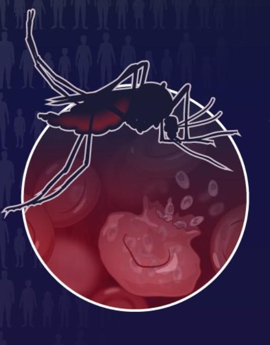 Over 6 lakh lives lost due to malaria in 2024, drug resistance a major threat: WHO