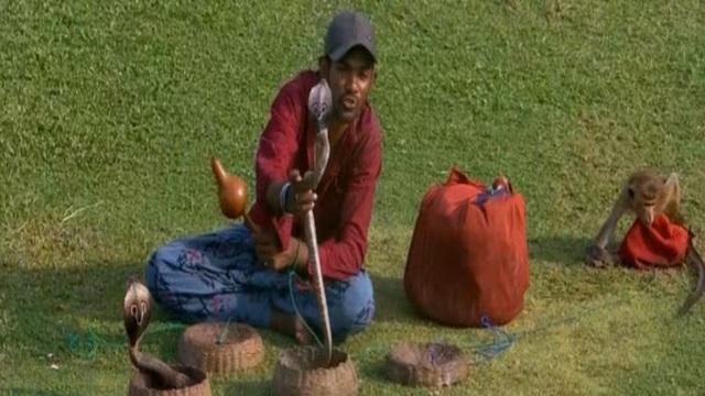 SL vs Ban: Fan with cobras and monkey in attendance takes ‘Naagin Derby’ to an extreme level