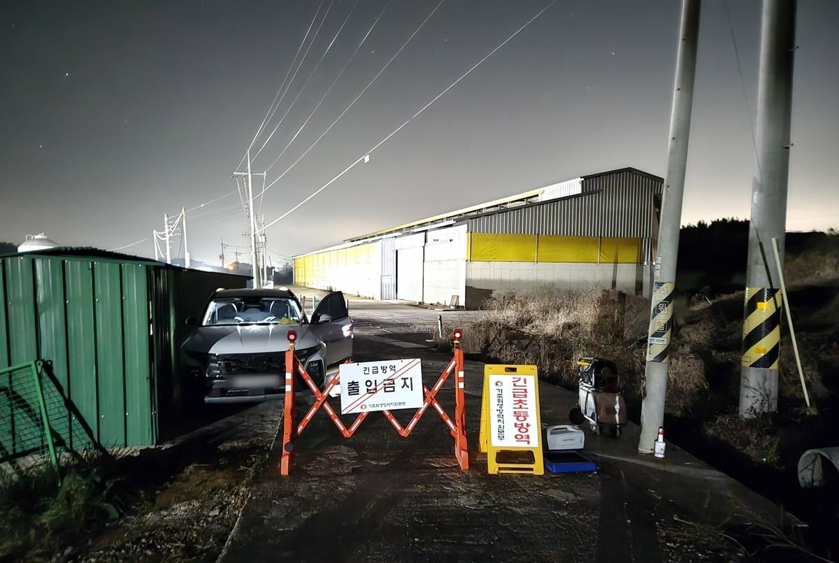 South Korea to implement special quarantine measures to curb spread of bird flu