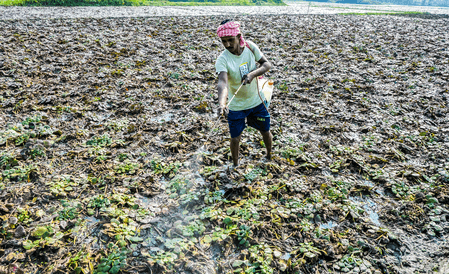 Socially backward people in Bengal have limited access to institutional loans: Bankers’ study