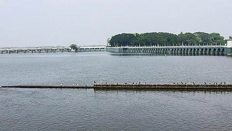 Water storage in TN's Cauvery delta tanks increases as rain boosts water storage