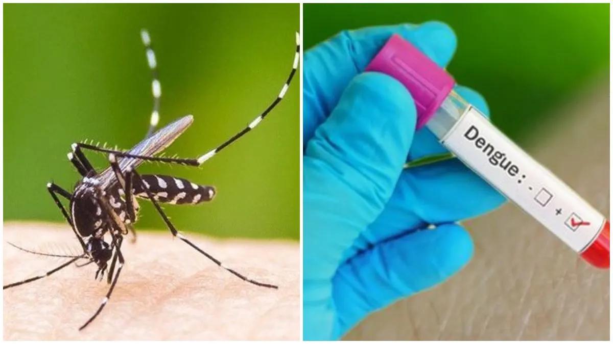 Dengue case in Delhi
