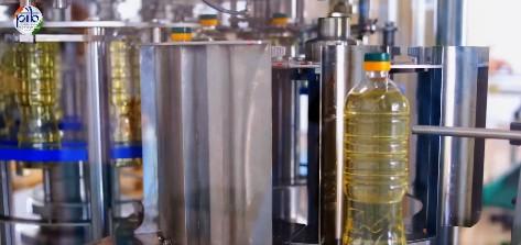 Govt to push oilseed production to 69.7 million tonnes by 2031, boost Atmanirbharta in edible oils