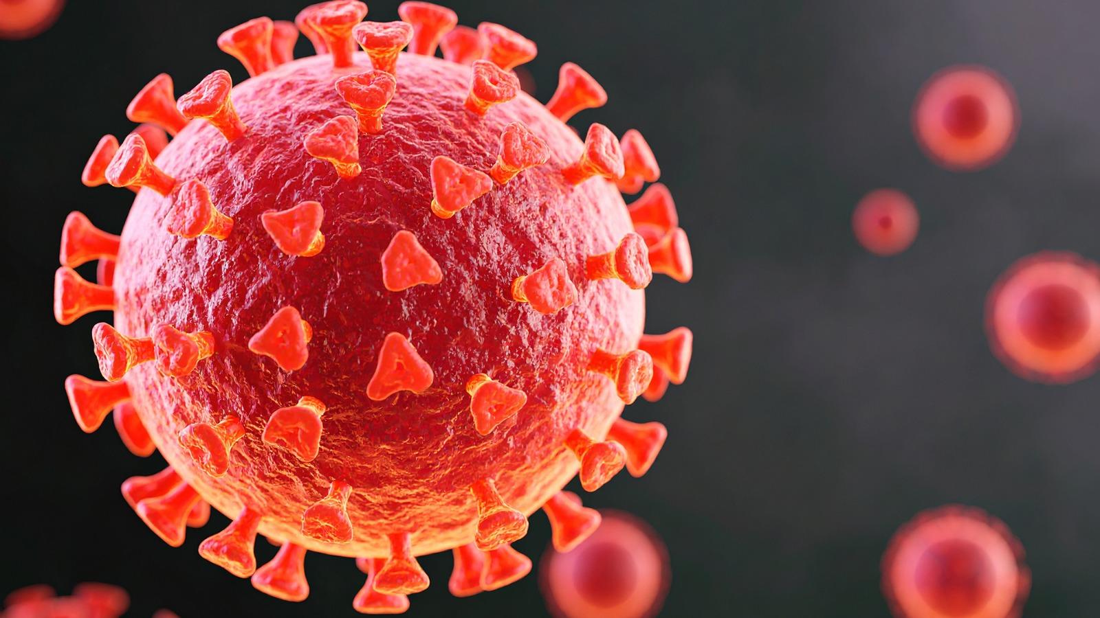 Covid-19 virus protein triggers immune attack on healthy cells: Study