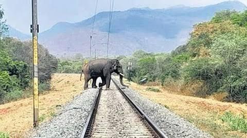 Safety of elephants: Southern Railway to commission elephant detection system by July end